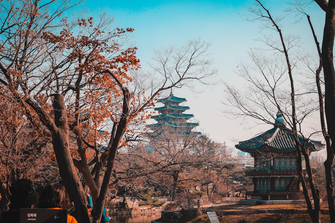 How Han's Leadership Could Transform South Korea's AI Landscape