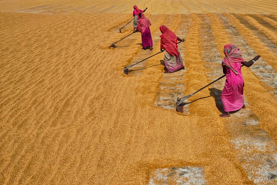 Towards recognising women farmers