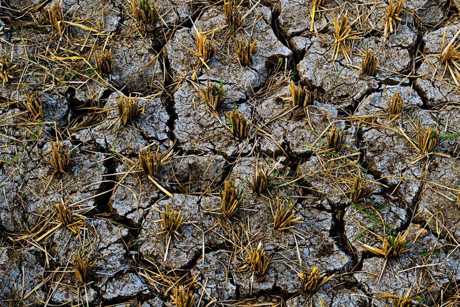 ADB upgrades India, but El Nino spoils party