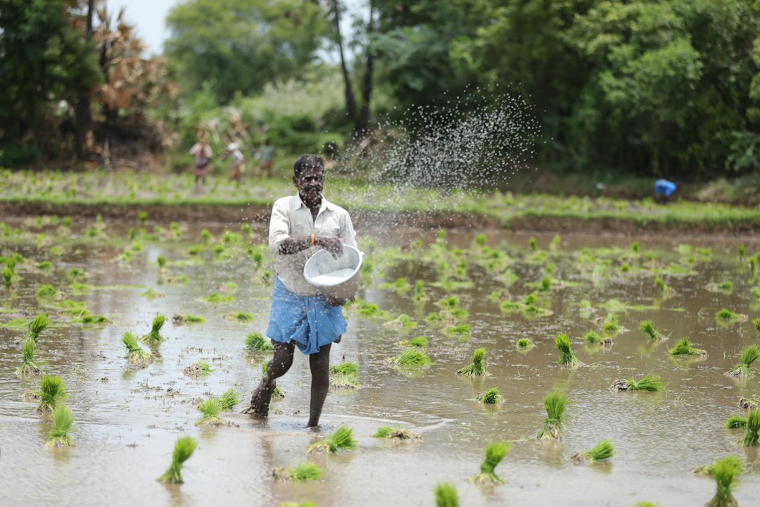 El Niño Puts India on Track for Its Driest Monsoon Since 2009