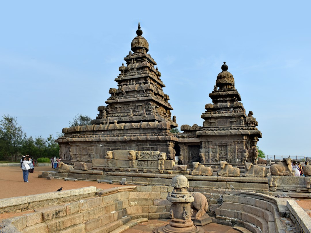 Tamil Nadu Universities Set for Interim Leadership Changes