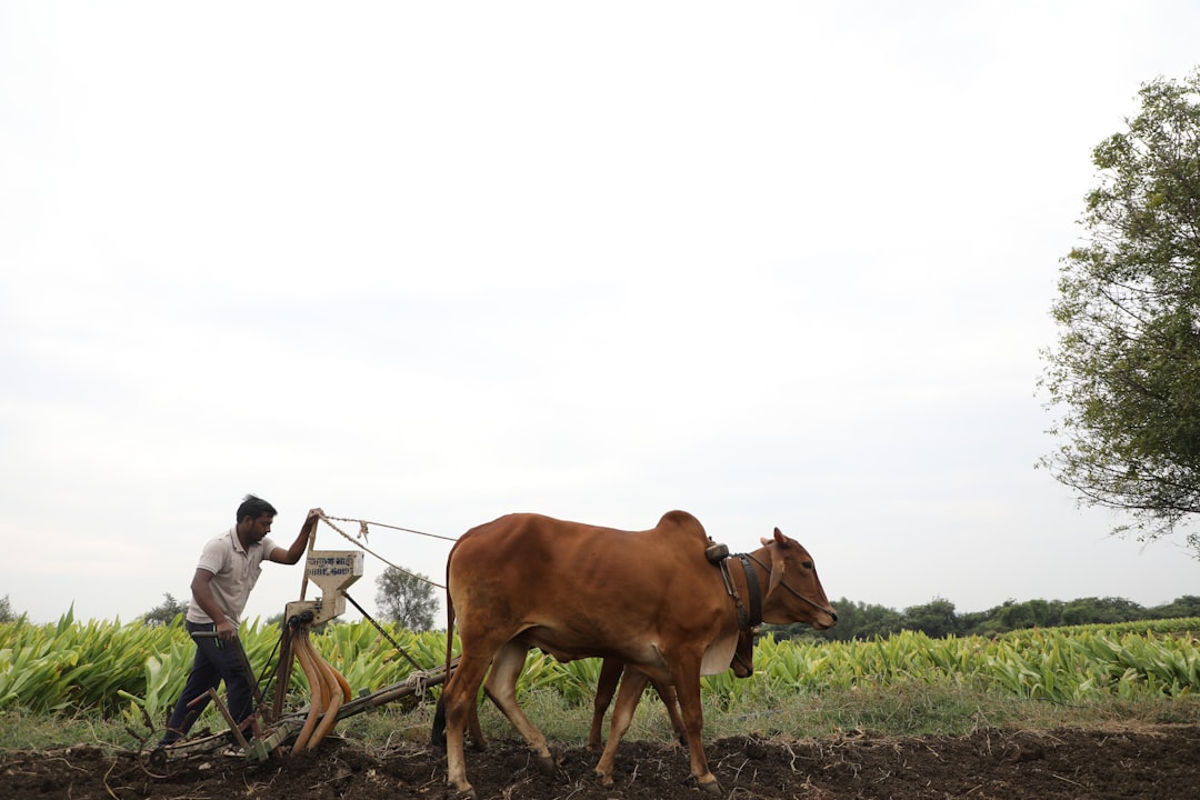 Indian Plantation Sector Urged to Become Global Suppliers