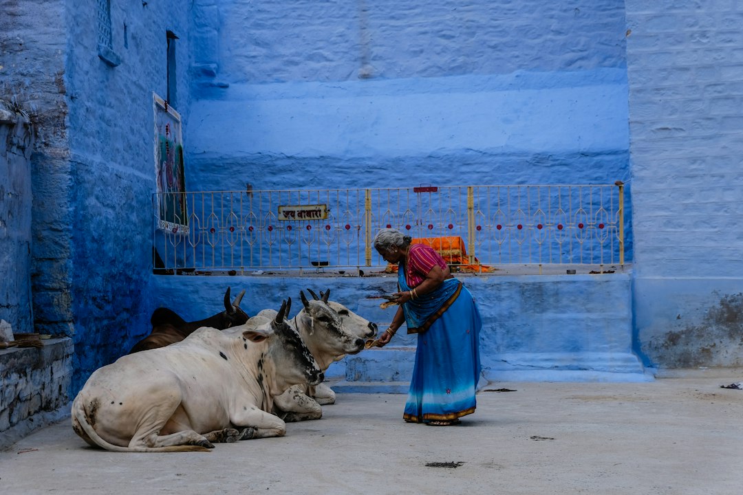 India's Blue Bonds Unlock Ocean of Financial Opportunities