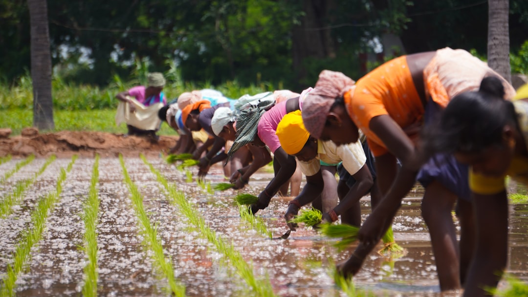 Towards recognising women farmers