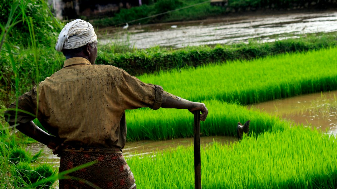India-New Zealand FTA Boosts Trade Opportunities