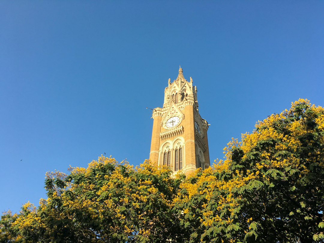 Mumbai University Students Struggle with OJT, Credit Transfers